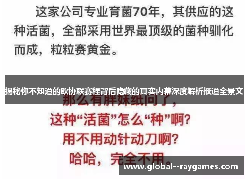 揭秘你不知道的欧协联赛程背后隐藏的真实内幕深度解析报道全景文