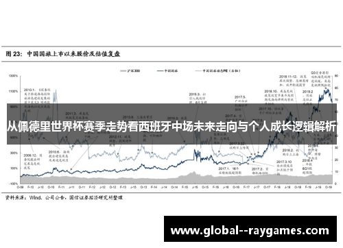 从佩德里世界杯赛季走势看西班牙中场未来走向与个人成长逻辑解析